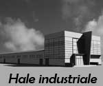 Hale industriale